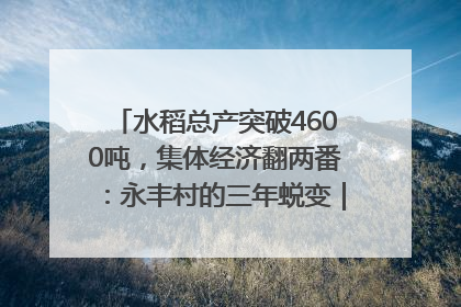 水稻总产突破4600吨，集体经济翻两番：永丰村的三年蜕变｜您牵挂的四川