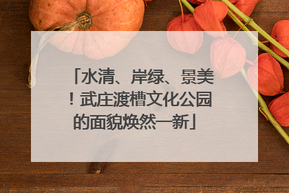 水清、岸绿、景美！武庄渡槽文化公园的面貌焕然一新