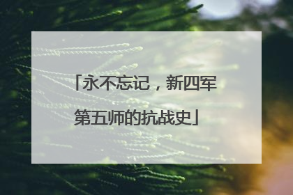 永不忘记，新四军第五师的抗战史