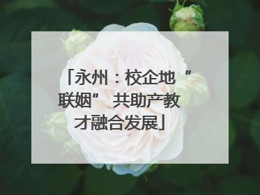 永州：校企地“联姻” 共助产教才融合发展