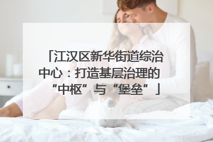 江汉区新华街道综治中心：打造基层治理的“中枢”与“堡垒”