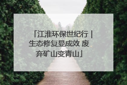 江淮环保世纪行｜生态修复显成效 废弃矿山变青山