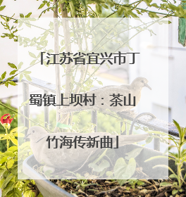 江苏省宜兴市丁蜀镇上坝村：茶山竹海传新曲