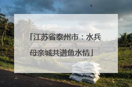 江苏省泰州市：水兵母亲城共谱鱼水情