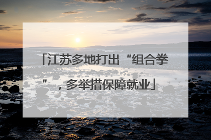 江苏多地打出“组合拳”，多举措保障就业