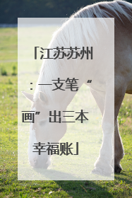 江苏苏州：一支笔“画”出三本幸福账
