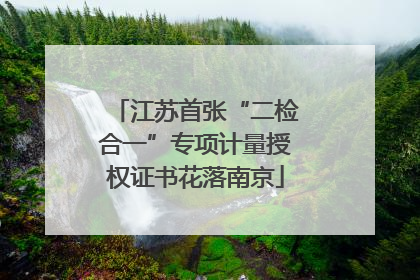 江苏首张“二检合一”专项计量授权证书花落南京