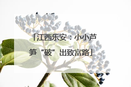 江西乐安：小小芦笋“破”出致富路