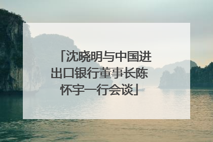 沈晓明与中国进出口银行董事长陈怀宇一行会谈