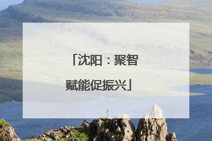 沈阳：聚智赋能促振兴