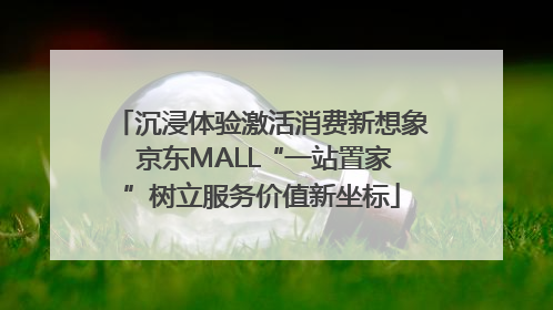 沉浸体验激活消费新想象 京东MALL“一站置家”树立服务价值新坐标
