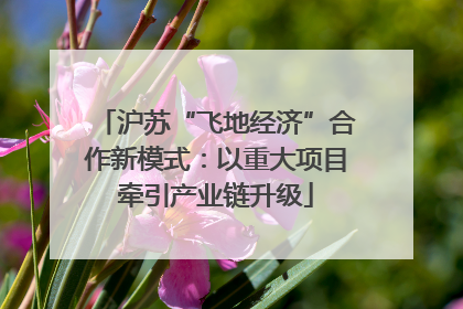 沪苏“飞地经济”合作新模式：以重大项目牵引产业链升级