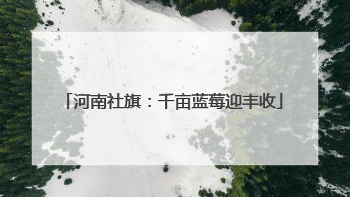 河南社旗：千亩蓝莓迎丰收