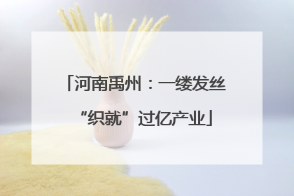 河南禹州：一缕发丝“织就”过亿产业
