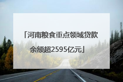 河南粮食重点领域贷款余额超2595亿元