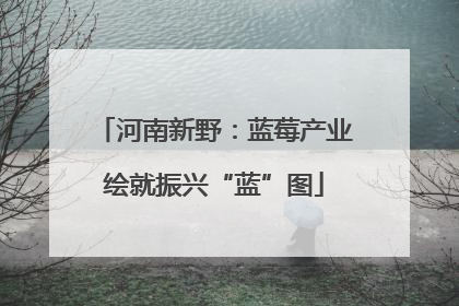 河南新野：蓝莓产业绘就振兴“蓝”图