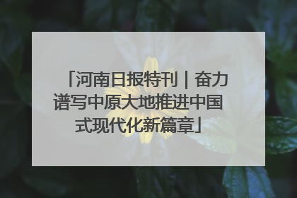 河南日报特刊｜奋力谱写中原大地推进中国式现代化新篇章