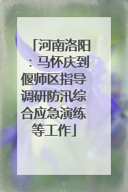 河南洛阳：马怀庆到偃师区指导调研防汛综合应急演练等工作