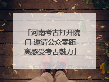 河南考古打开院门 邀请公众零距离感受考古魅力