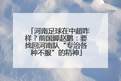 河南足球在中超咋样？前国脚赵鹏：要找回河南队“专治各种不服”的精神