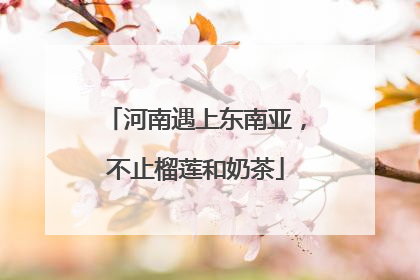 河南遇上东南亚，不止榴莲和奶茶