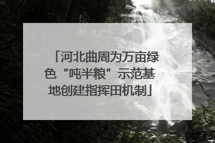 河北曲周为万亩绿色“吨半粮”示范基地创建指挥田机制