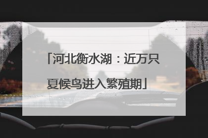 河北衡水湖：近万只夏候鸟进入繁殖期