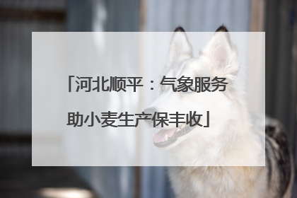 河北顺平：气象服务助小麦生产保丰收
