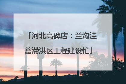 河北高碑店：兰沟洼蓄滞洪区工程建设忙