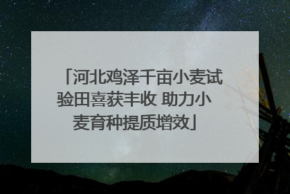 河北鸡泽千亩小麦试验田喜获丰收 助力小麦育种提质增效