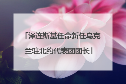 泽连斯基任命新任乌克兰驻北约代表团团长