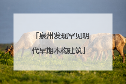 泉州发现罕见明代早期木构建筑