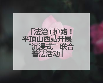 法治+护路！平顶山西站开展“沉浸式”联合普法活动
