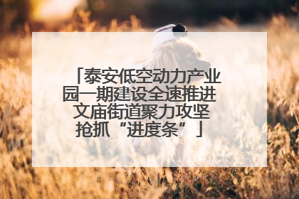 泰安低空动力产业园一期建设全速推进 文庙街道聚力攻坚抢抓“进度条”