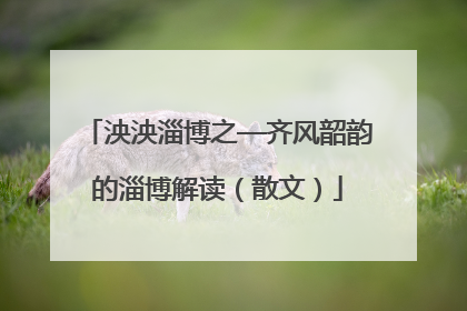 泱泱淄博之—齐风韶韵的淄博解读（散文）