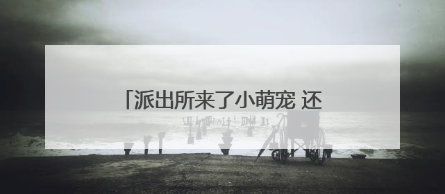 派出所来了小萌宠 还成了“反诈宣传员”