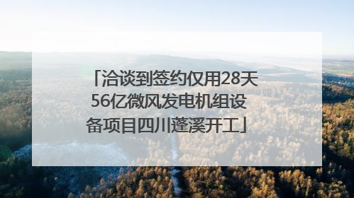 洽谈到签约仅用28天 56亿微风发电机组设备项目四川蓬溪开工
