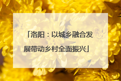 洛阳：以城乡融合发展带动乡村全面振兴