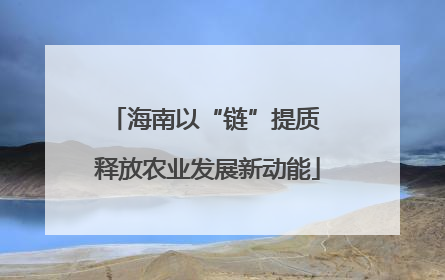 海南以“链”提质 释放农业发展新动能