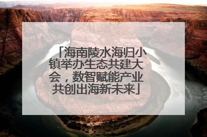 海南陵水海归小镇举办生态共建大会，数智赋能产业共创出海新未来