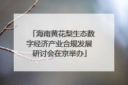 海南黄花梨生态数字经济产业合规发展研讨会在京举办