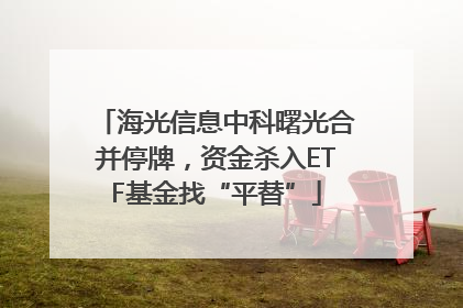 海光信息中科曙光合并停牌，资金杀入ETF基金找“平替”
