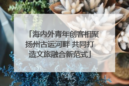 海内外青年创客相聚扬州古运河畔 共同打造文旅融合新范式