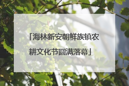 海林新安朝鲜族镇农耕文化节圆满落幕