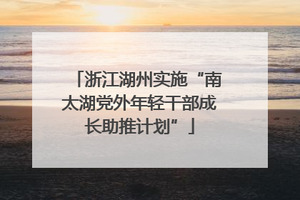 浙江湖州实施“南太湖党外年轻干部成长助推计划”