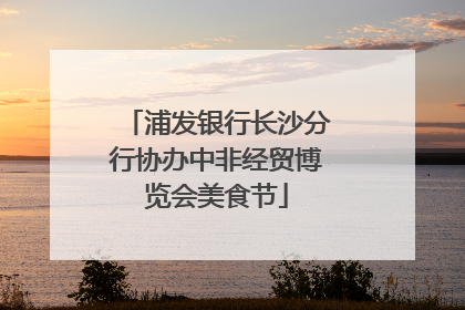 浦发银行长沙分行协办中非经贸博览会美食节