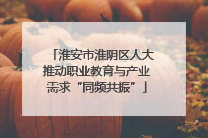 淮安市淮阴区人大推动职业教育与产业需求“同频共振”