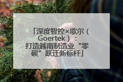 深度智控×歌尔（Goertek）：打造越南制造业“零碳”跃迁新标杆