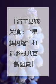 清丰县城关镇：“星辉闪耀”打造乡村共富新图景