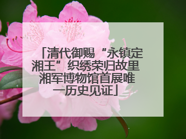 清代御赐“永镇定湘王”织绣荣归故里 湘军博物馆首展唯一历史见证